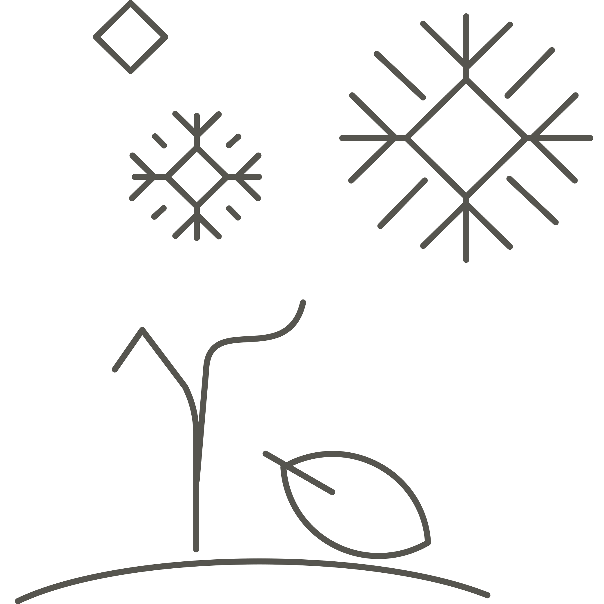 Heggli-Gartenbau-Icons-Sorglos-Paket-Winter