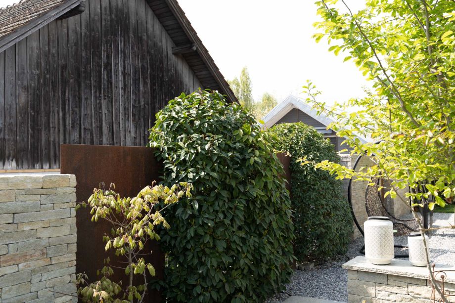 heggli-gartenbau-gartenbau-inhalt-wasser-im-garten-pool
