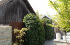 heggli-gartenbau-gartenbau-inhalt-wasser-im-garten-pool